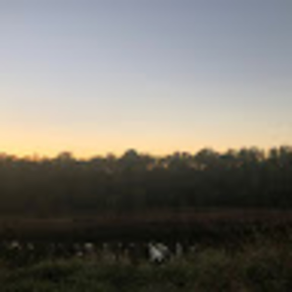 Meet your Posher, Gaby